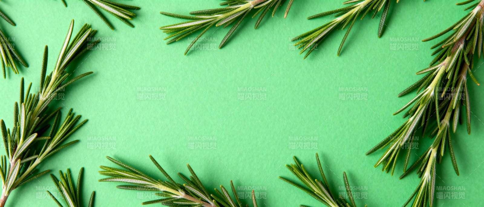 绿叶环绕的清新画面图片