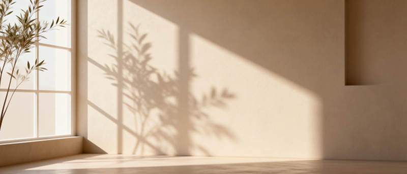 光影中的静谧角落图片