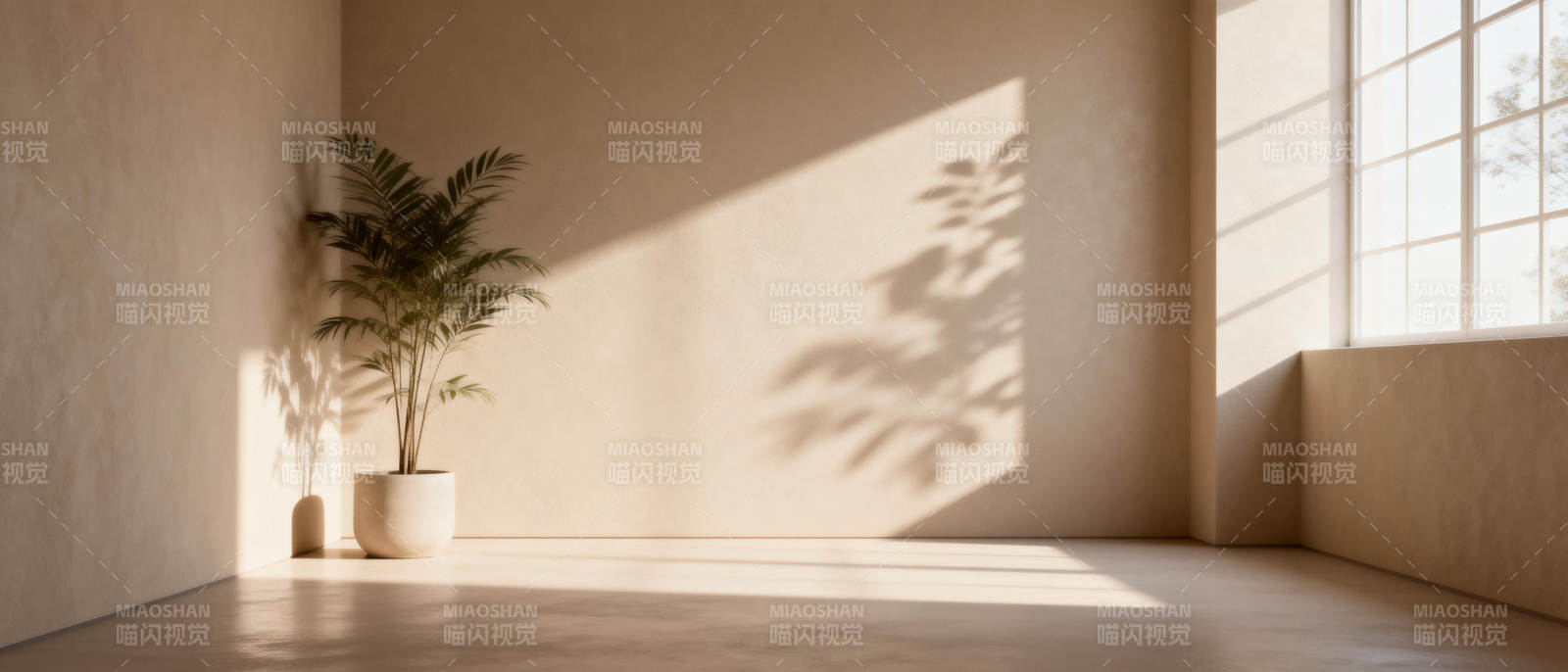 光影中的绿植角落图片