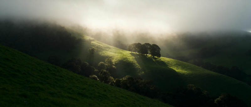 晨雾中的绿野山丘图片