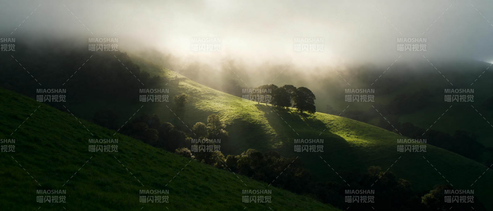 晨雾中的绿野山丘图片