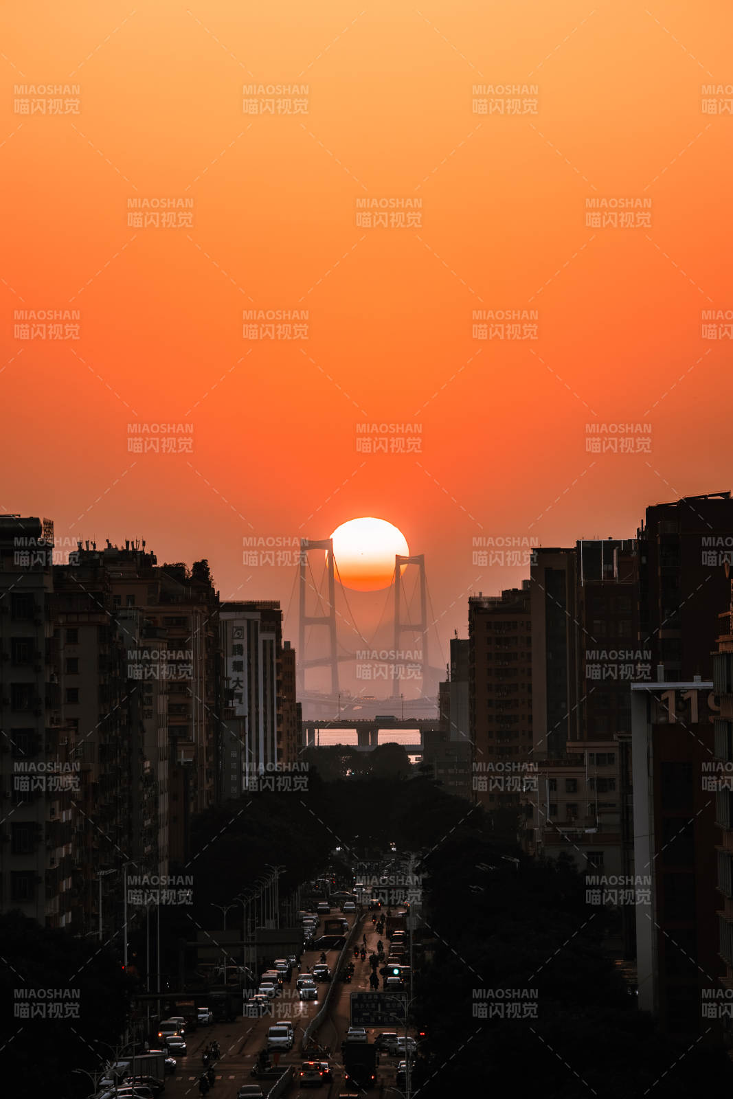 深中通道悬日图片