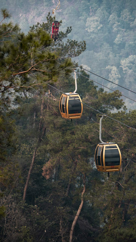 缆车穿林而过图片