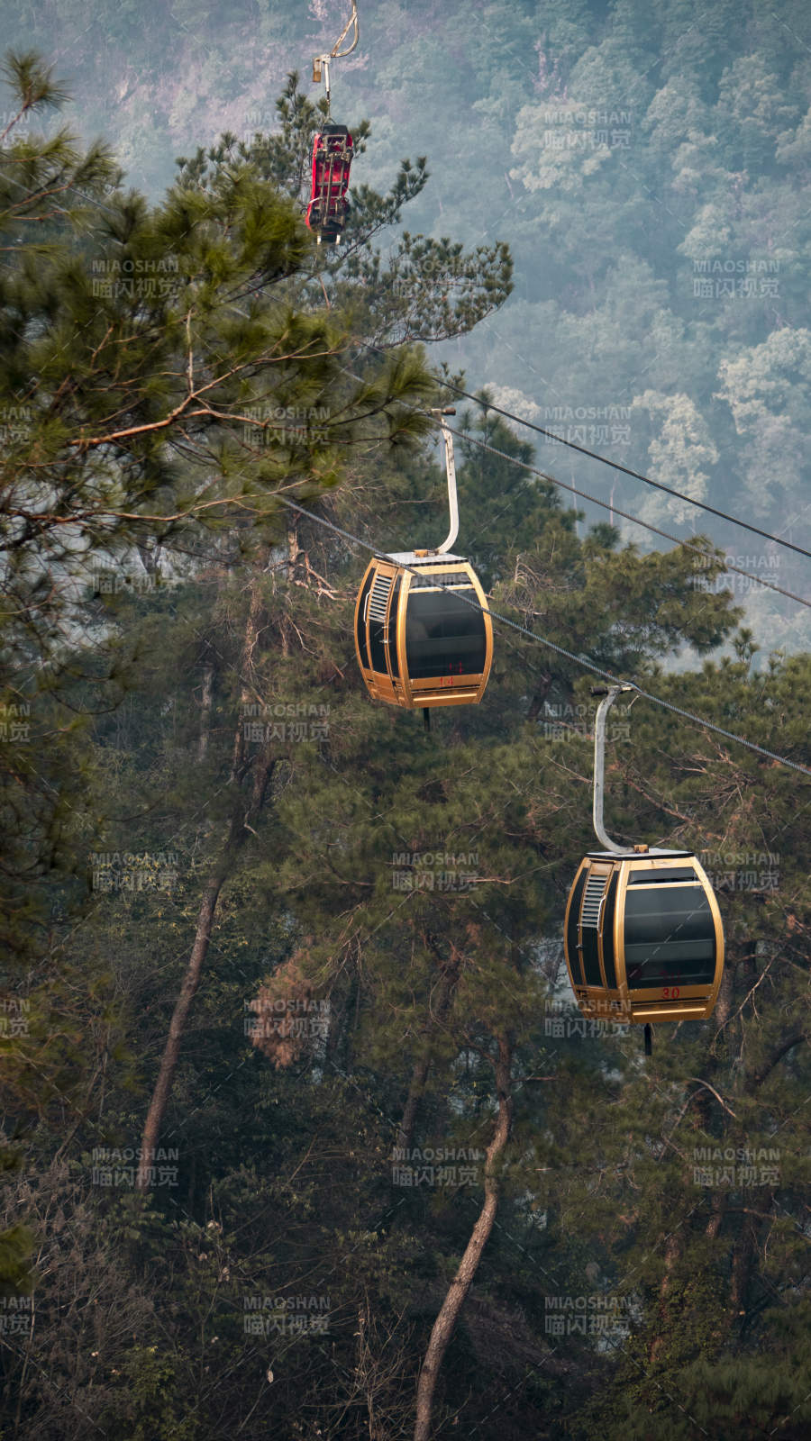 缆车穿林而过图片
