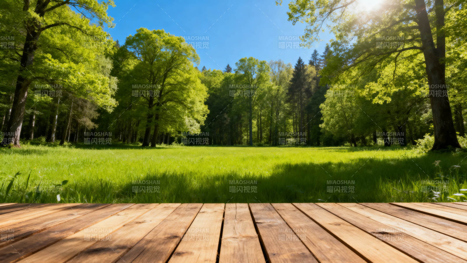 阳光森林木板平台图片