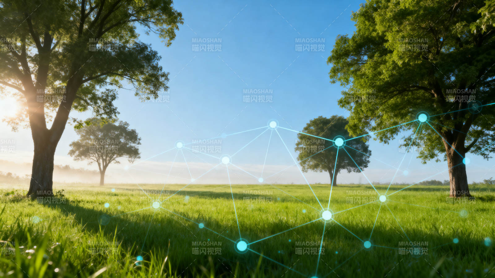 自然草地与科技网络融合图片