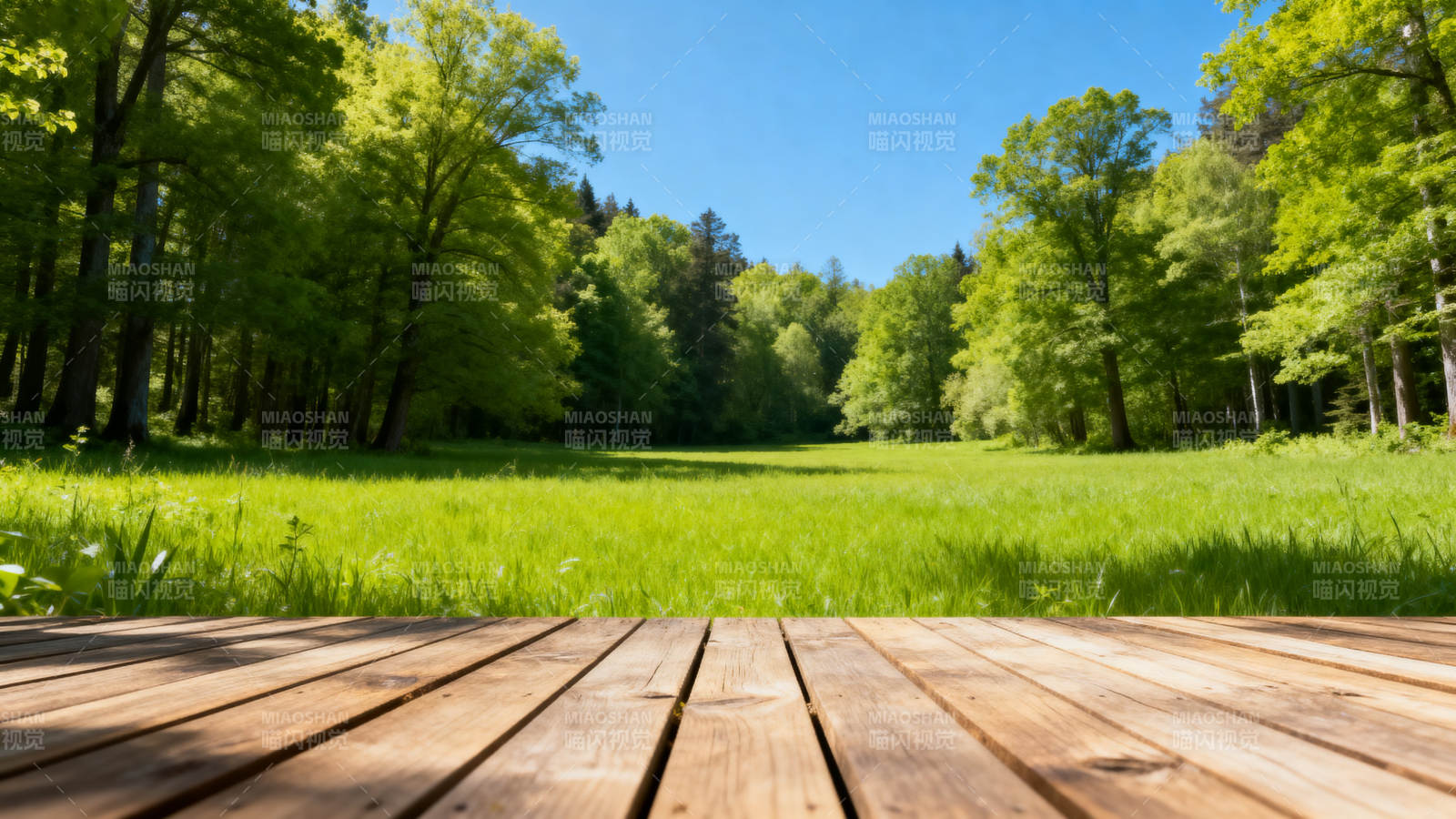森林草地木板平台图片