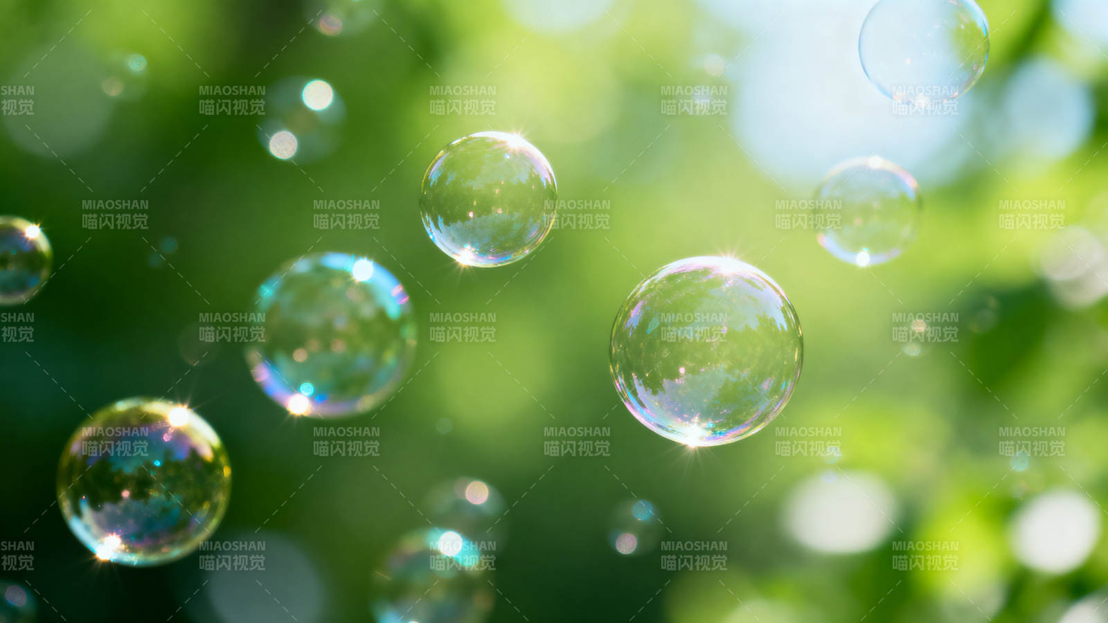 阳光下的肥皂泡图片