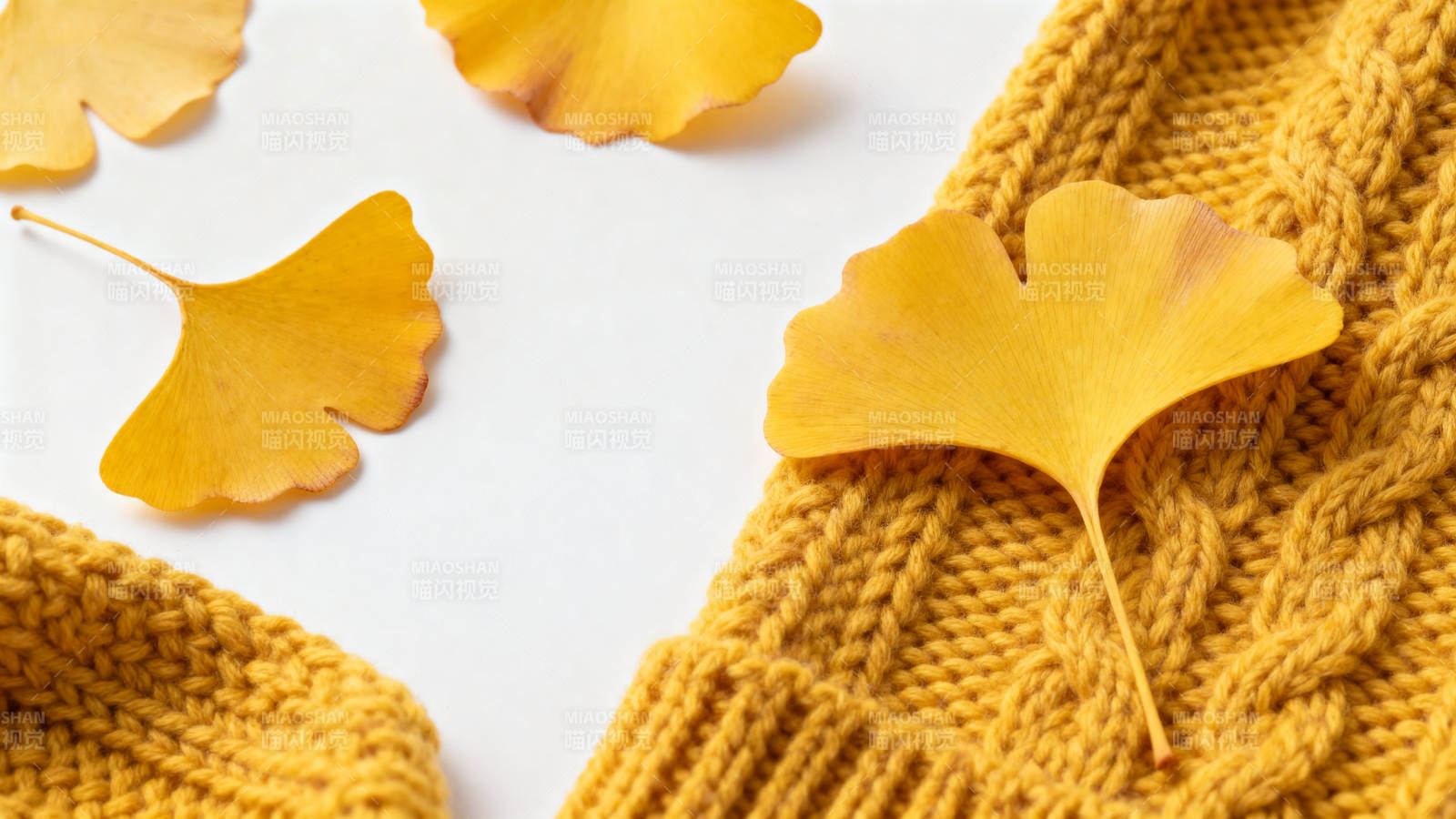 银杏叶与黄色毛衣的秋日图片