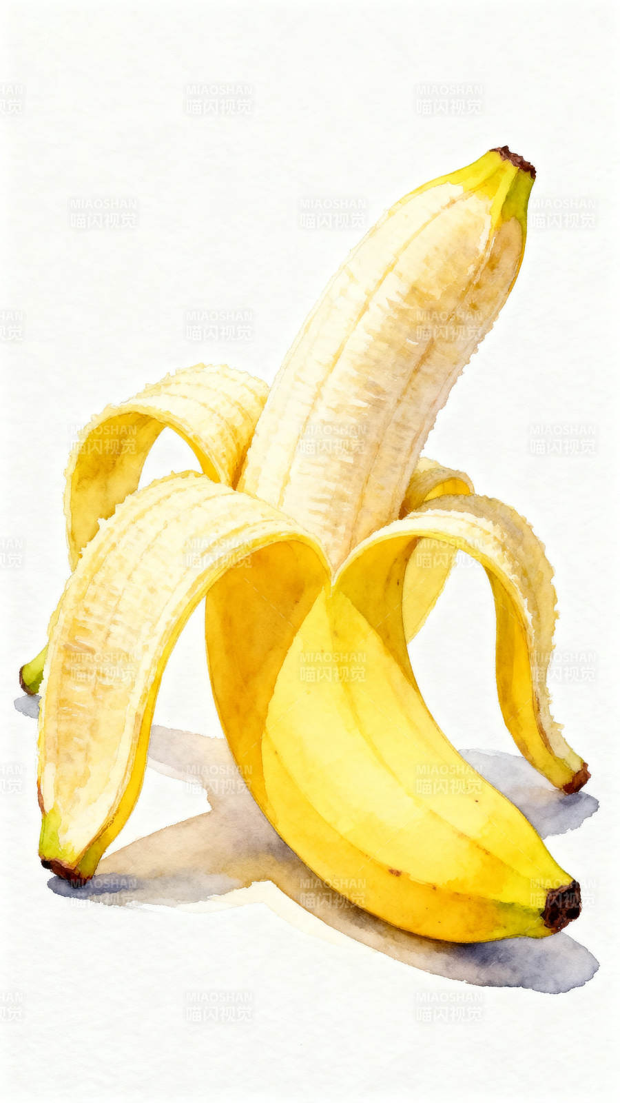 水彩绘剥开的香蕉图片