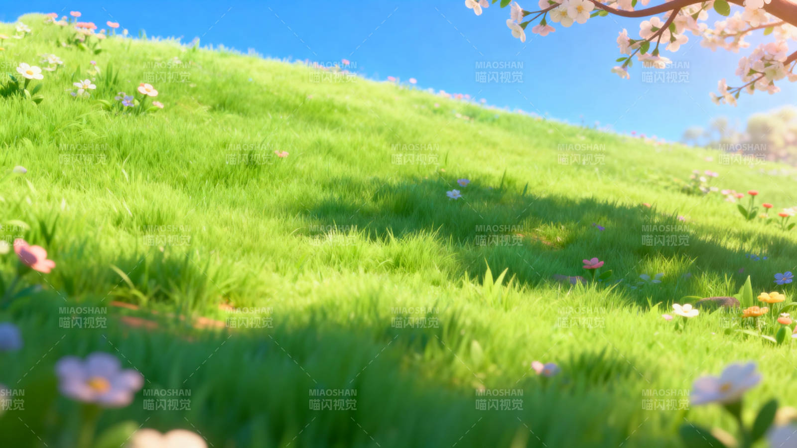 阳光草地与花朵的春日美景图片