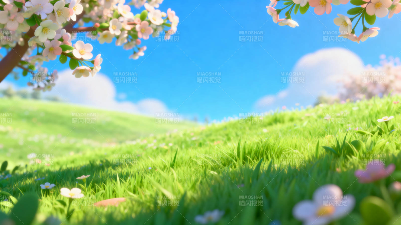 春日花树下的绿草地图片