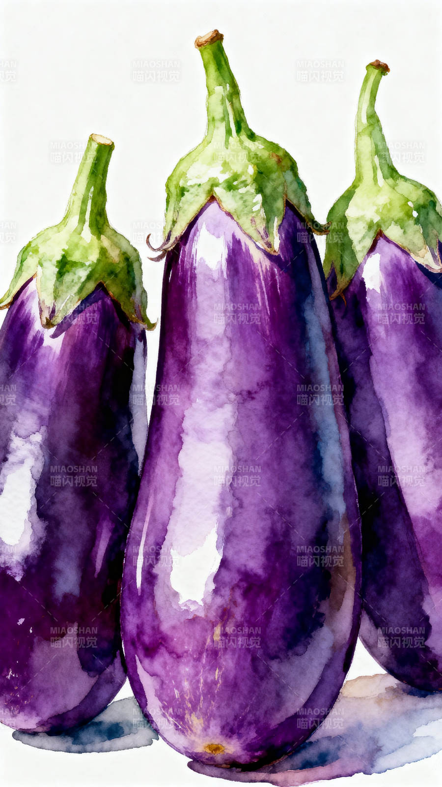 水彩茄子绘画艺术图片