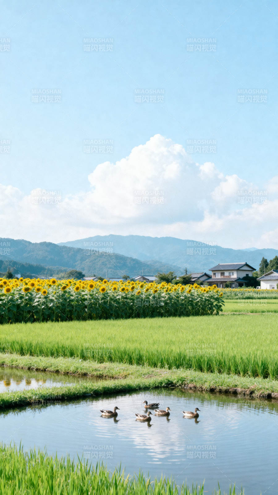 田园风光与向日葵田图片