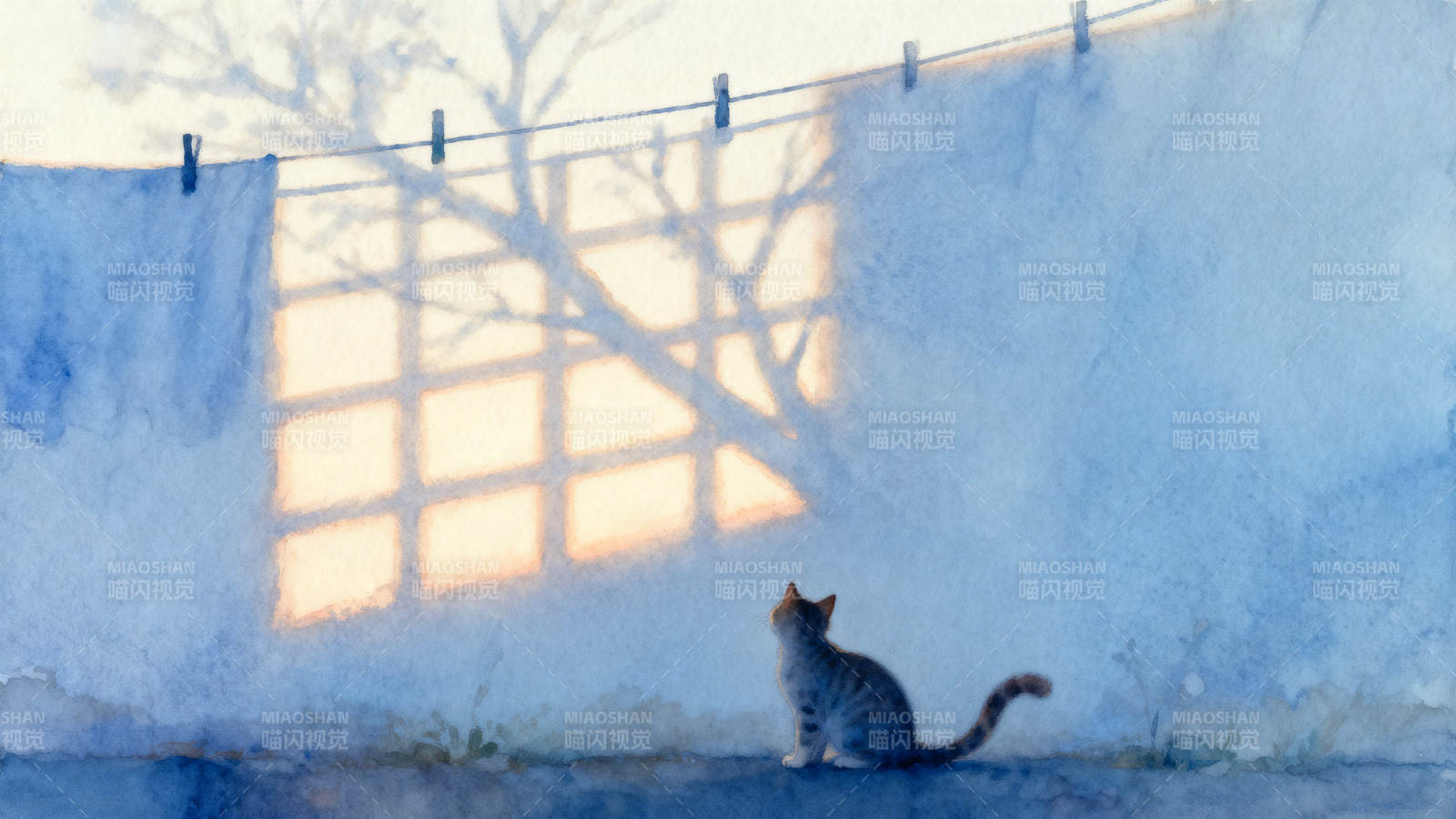 猫咪与影子的静谧时刻图片