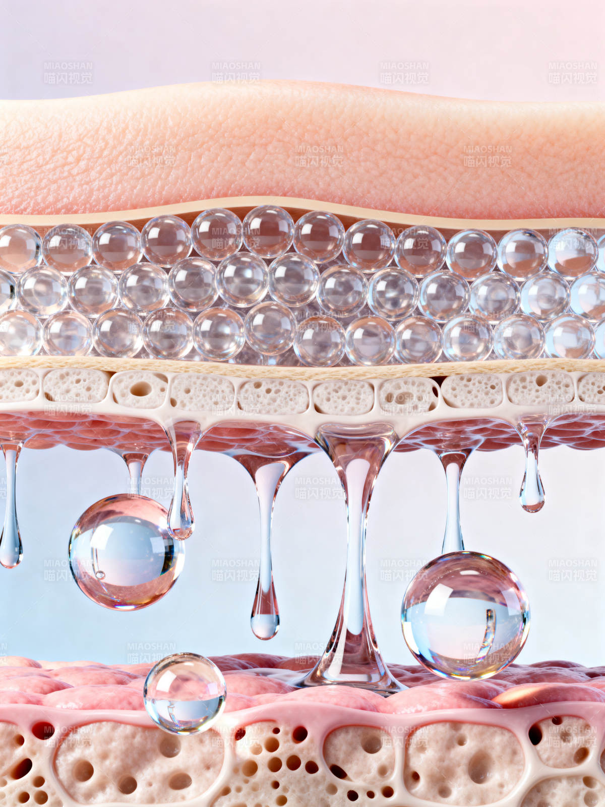 皮肤结构保湿示意图图片