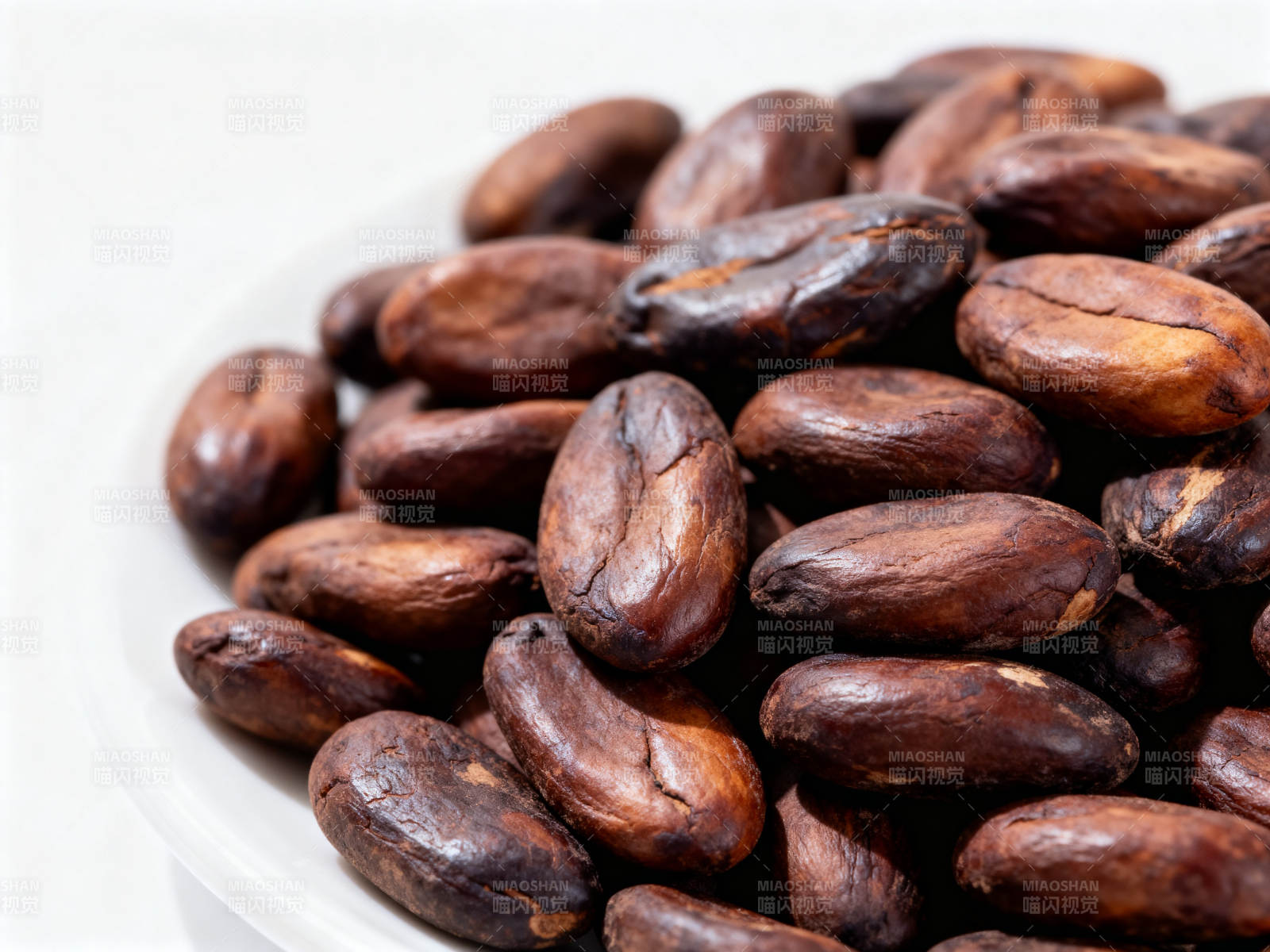 可可豆特写展示图片