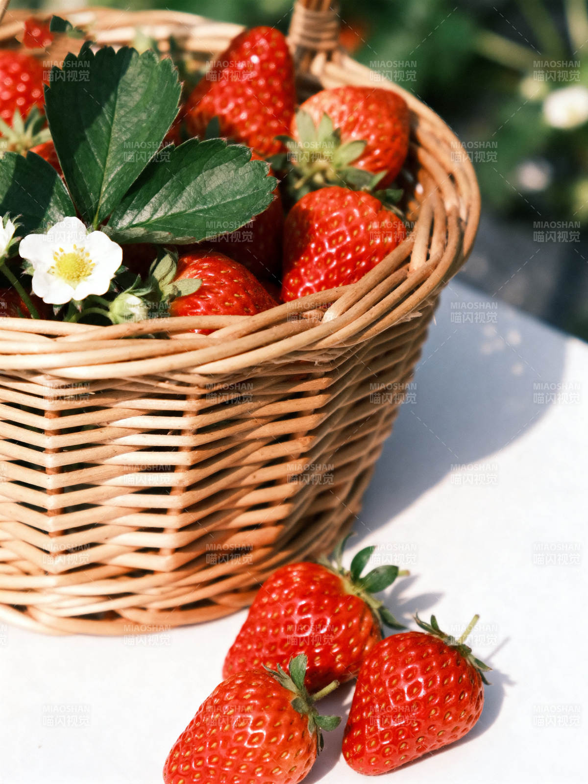 新鲜草莓与藤编篮子图片