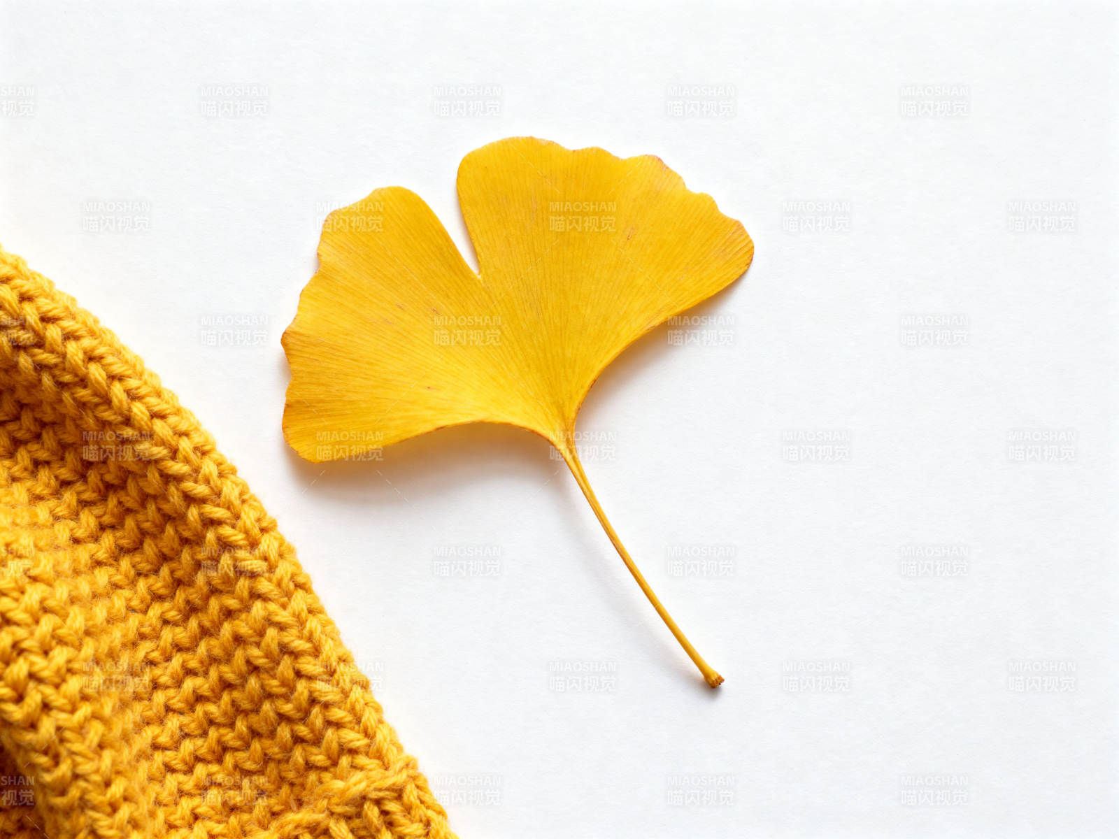 银杏叶与黄色毛线图片