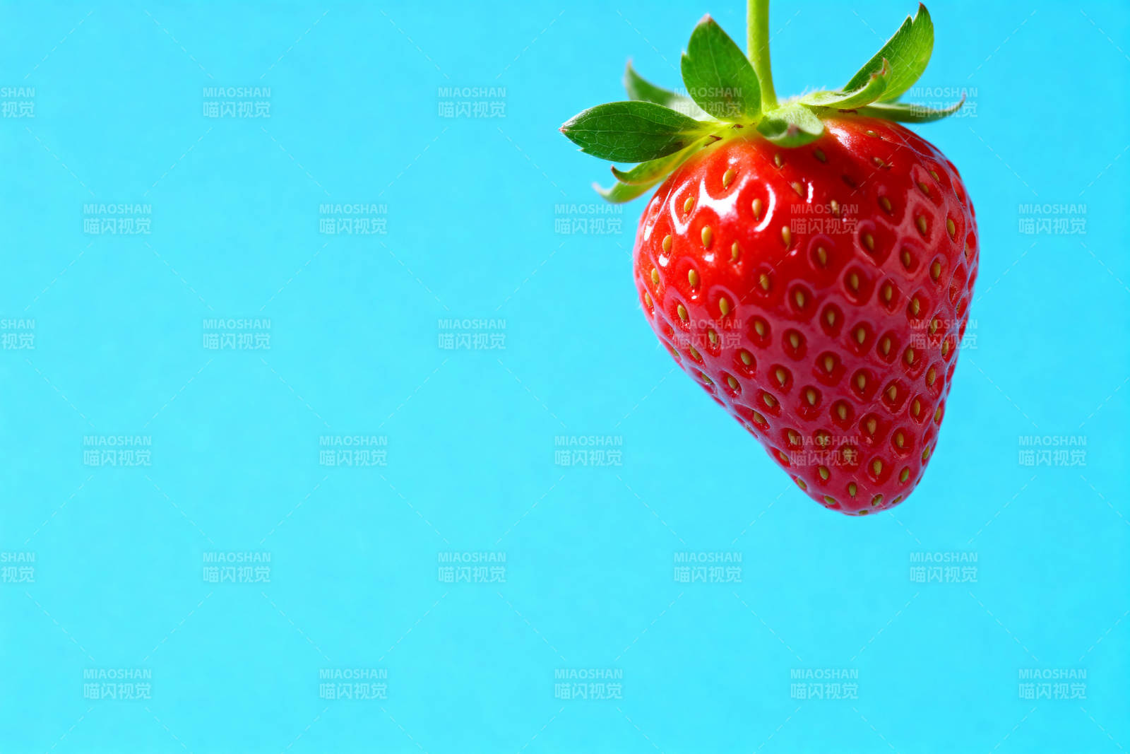 鲜红草莓蓝背景特写图片