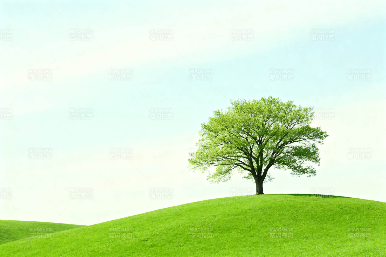 绿树草地自然风光图片