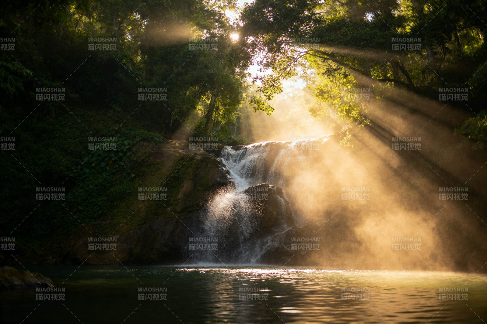 阳光穿透森林瀑布图片