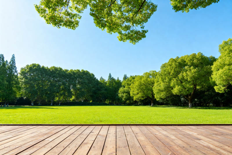 公园绿地木平台自然景观图片