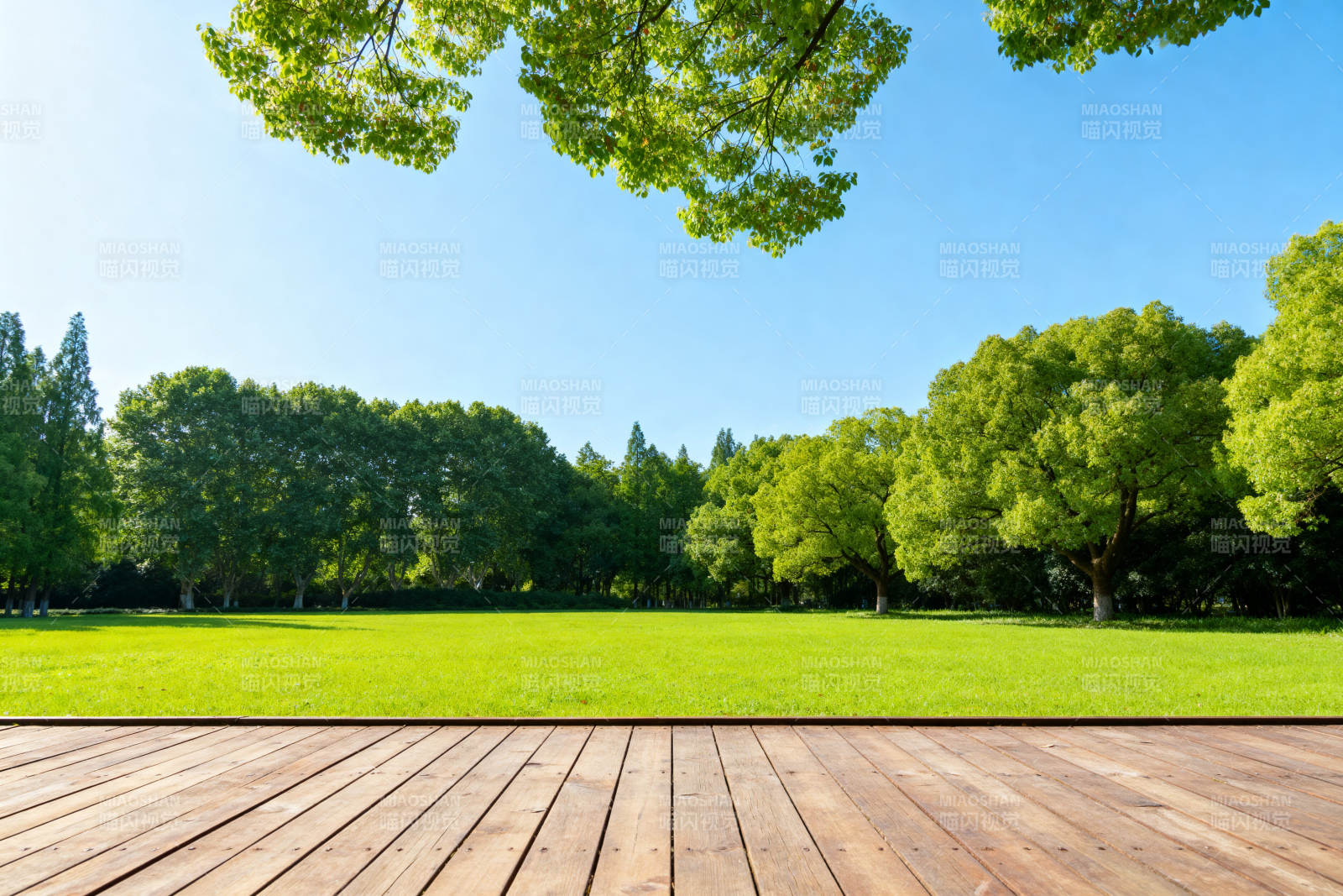 公园绿地木平台自然景观图片
