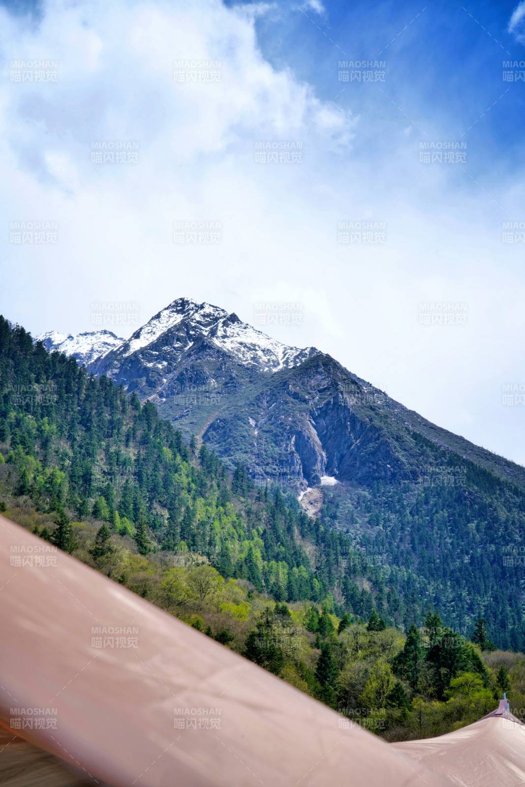 雪山绿谷风光图片