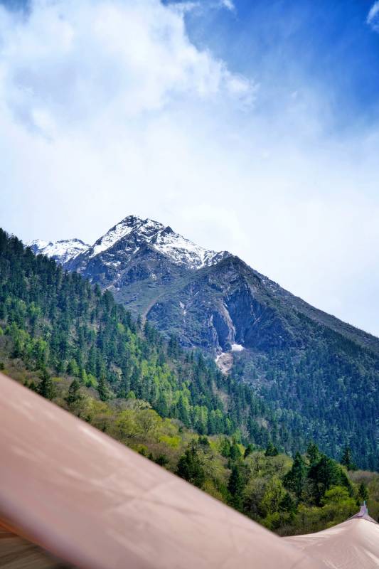雪山绿谷风光图片