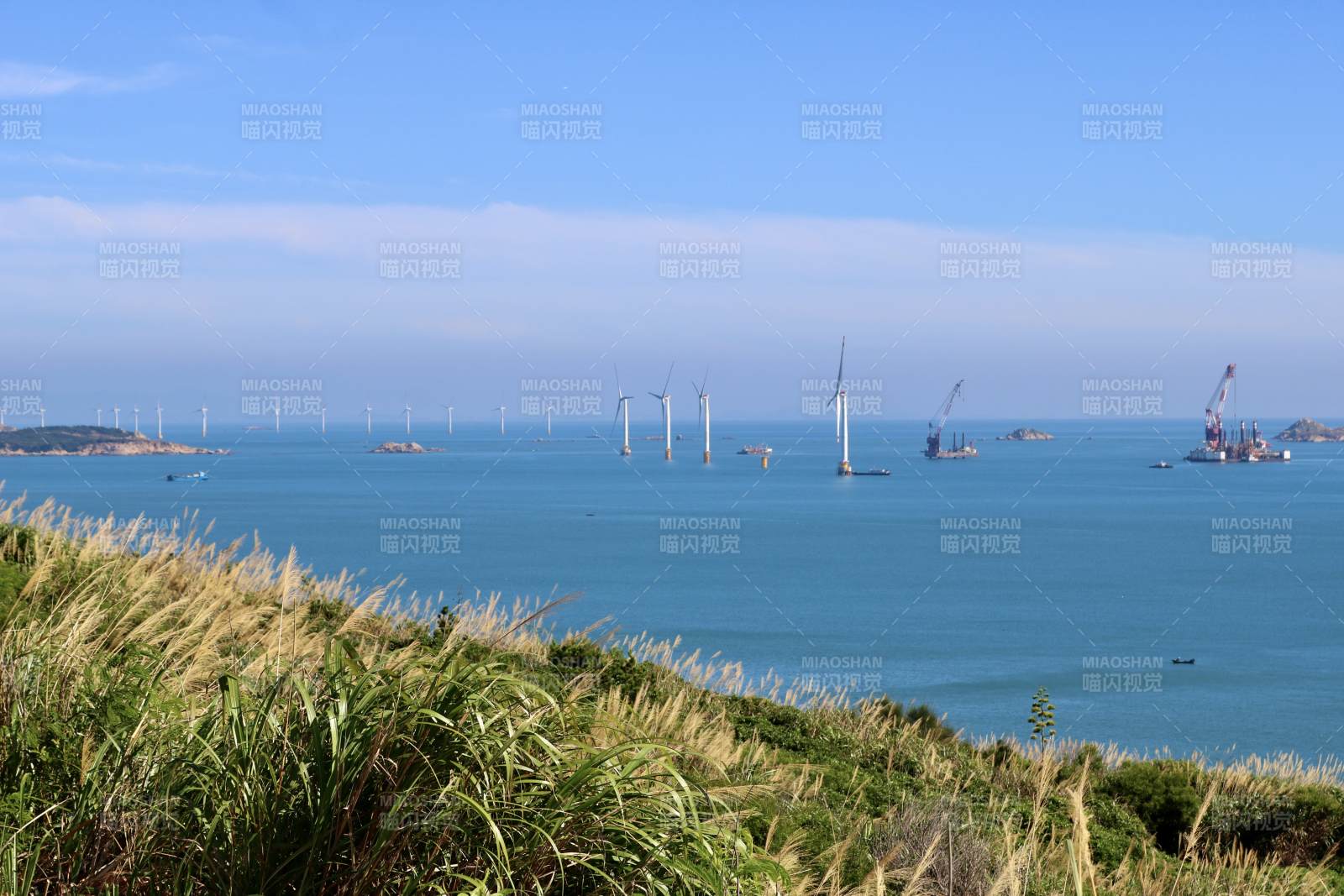 海风轻拂 风车远眺图片