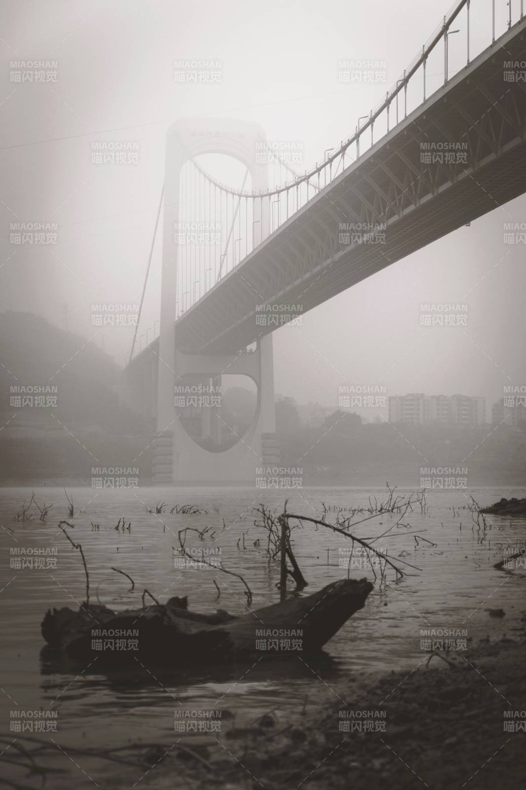 雾中桥影图片