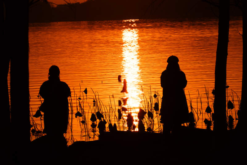 湖畔剪影黄昏图片