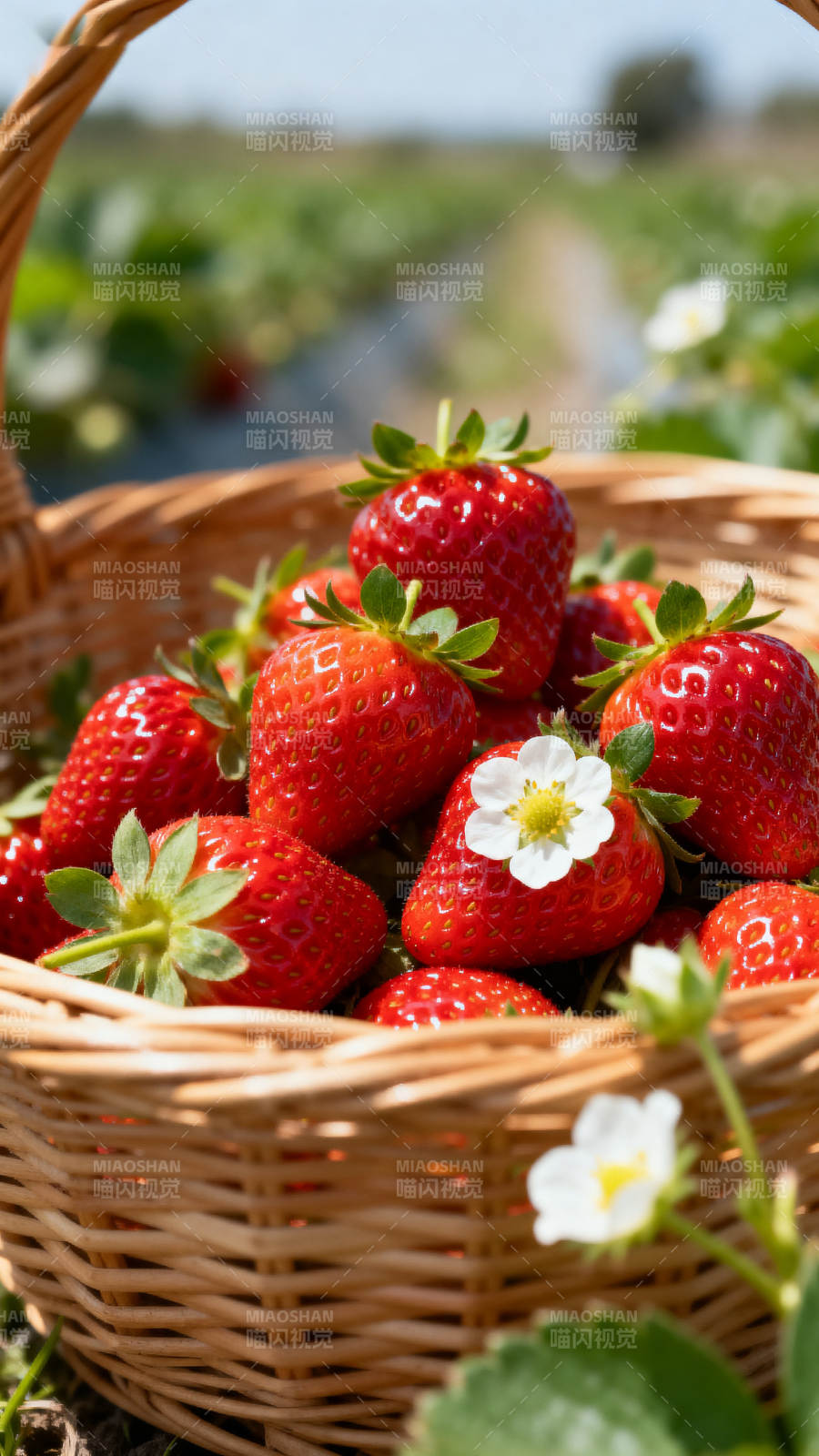 新鲜草莓装满篮子图片