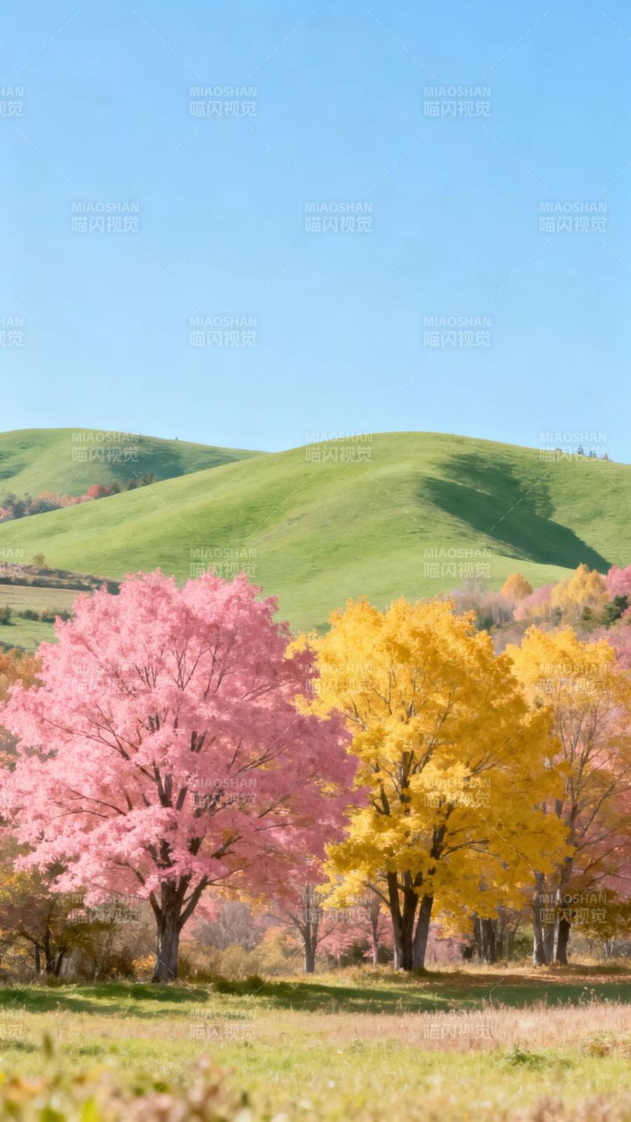 春日彩林映青山图片