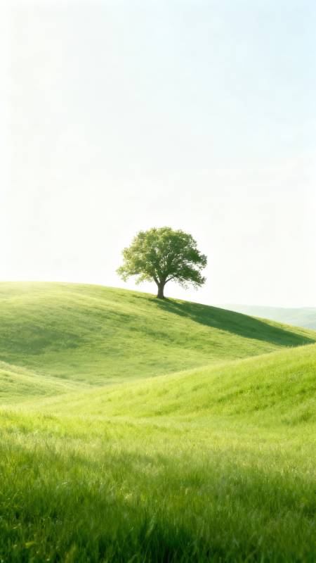 孤树绿野图片