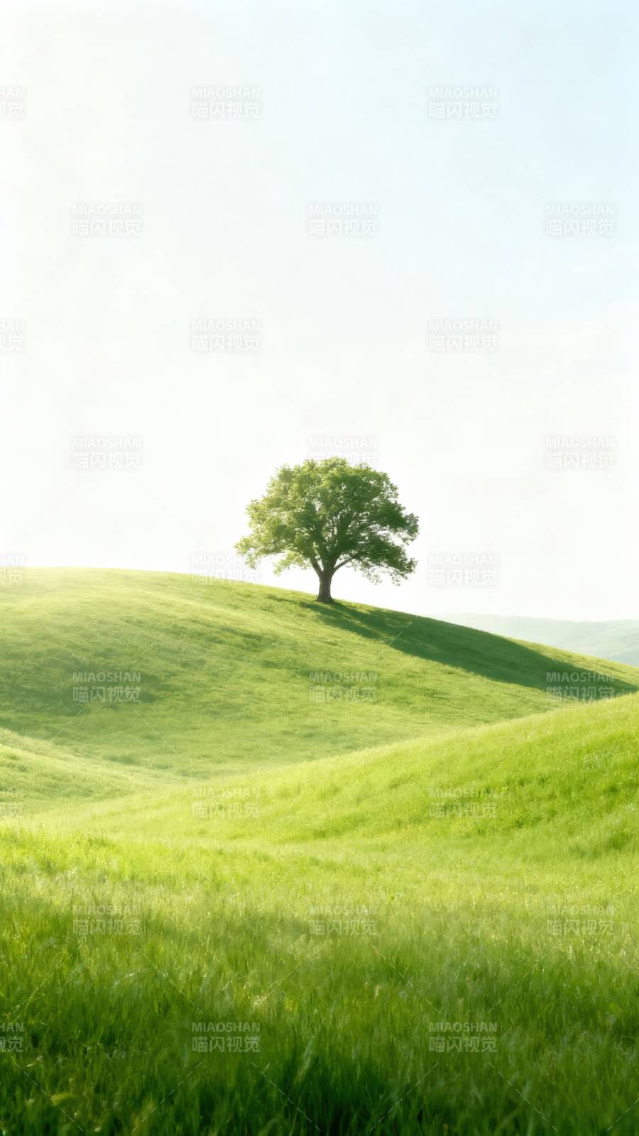 孤树绿野图片