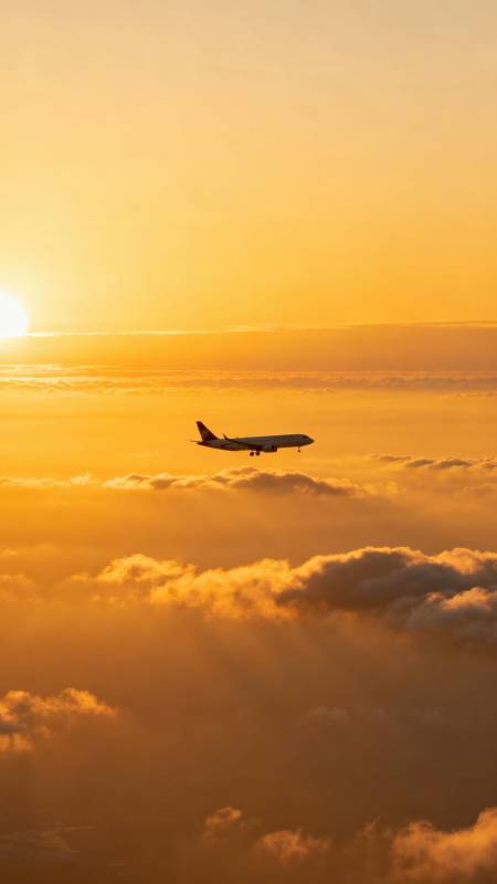 夕阳下的飞行图片