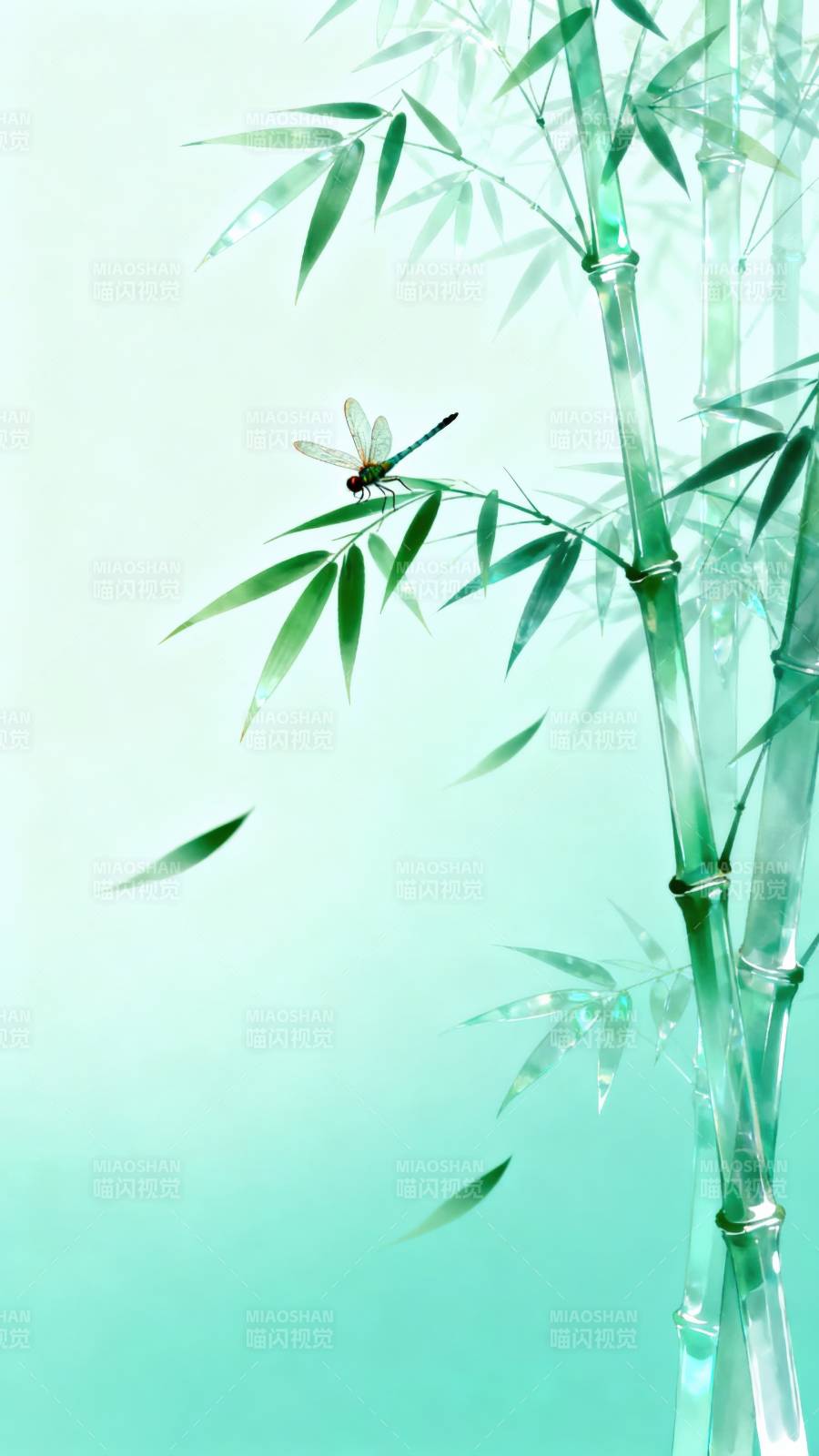 竹影蜻蜓图片