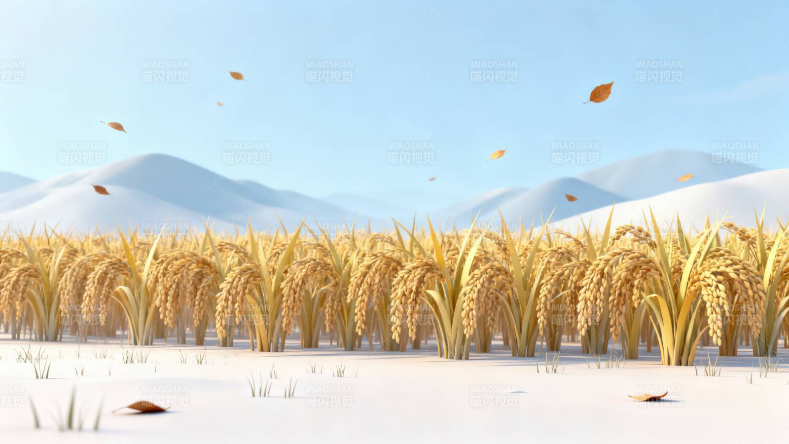 金黄稻田丰收景象图片