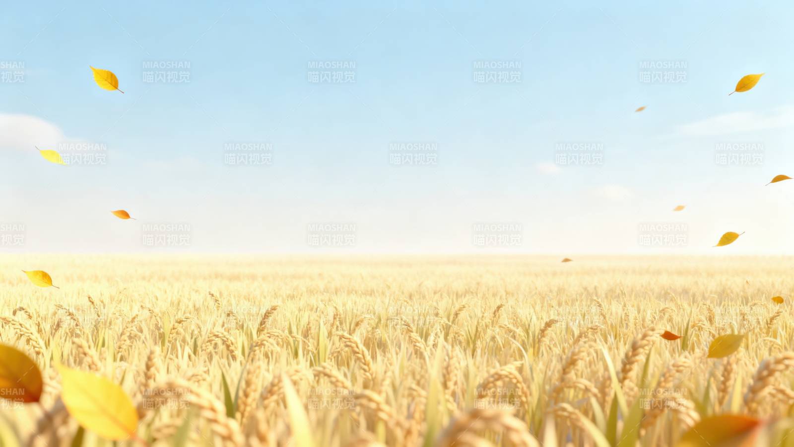 金黄稻田秋日丰收图片