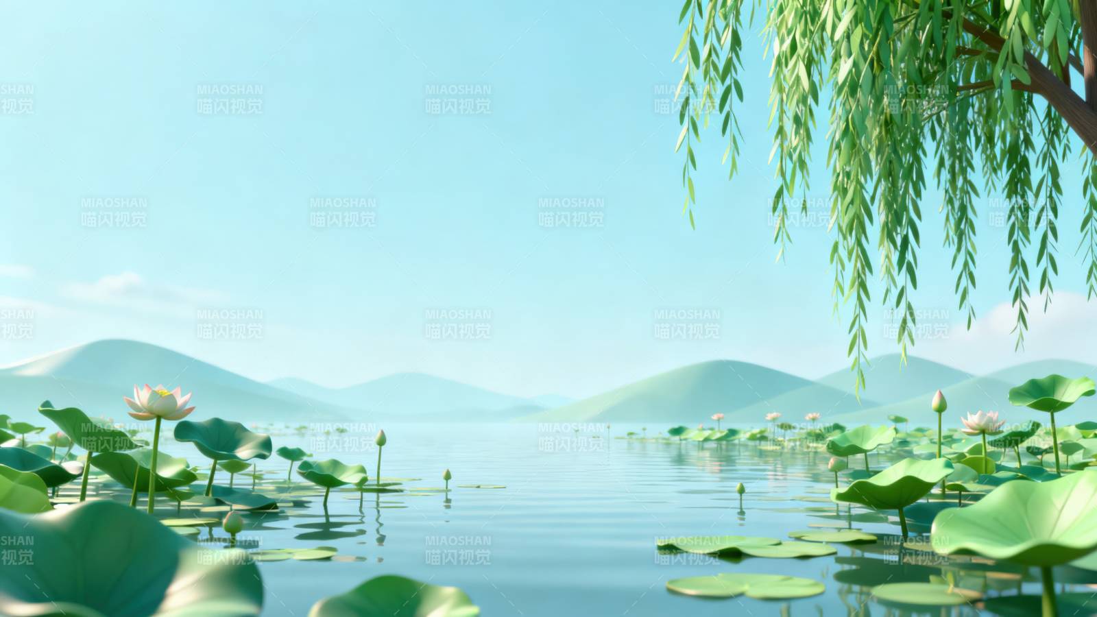 夏日荷塘柳树风光图片