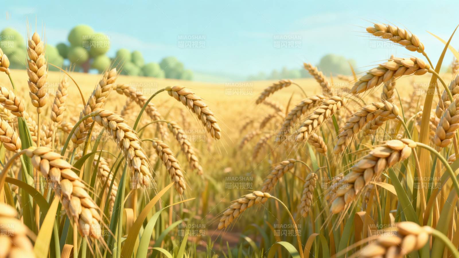 金黄麦田丰收景象图片