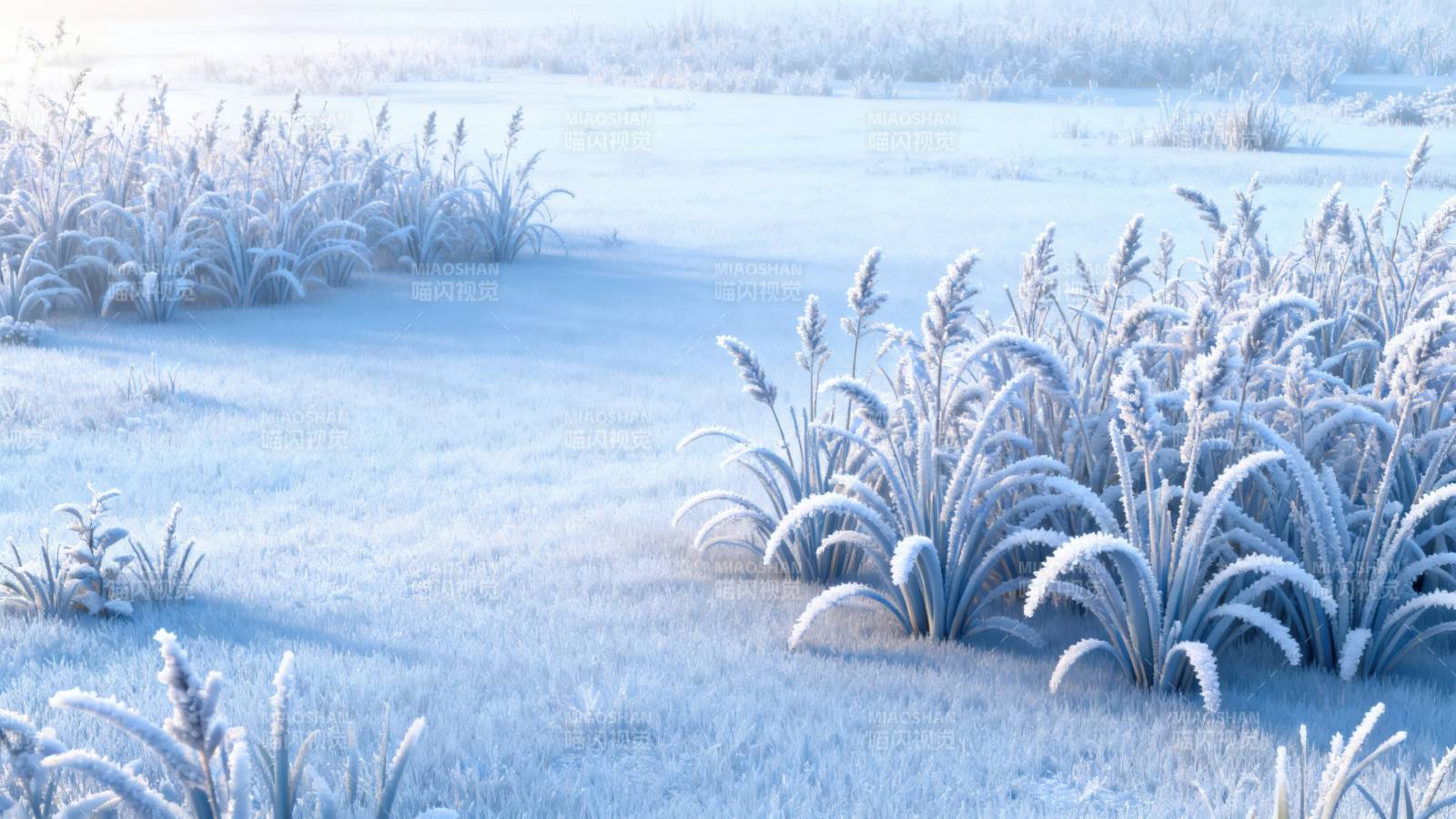 霜冻草地冬日清晨图片