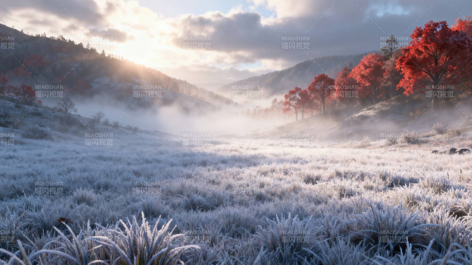 霜冻山谷晨曦美景图片