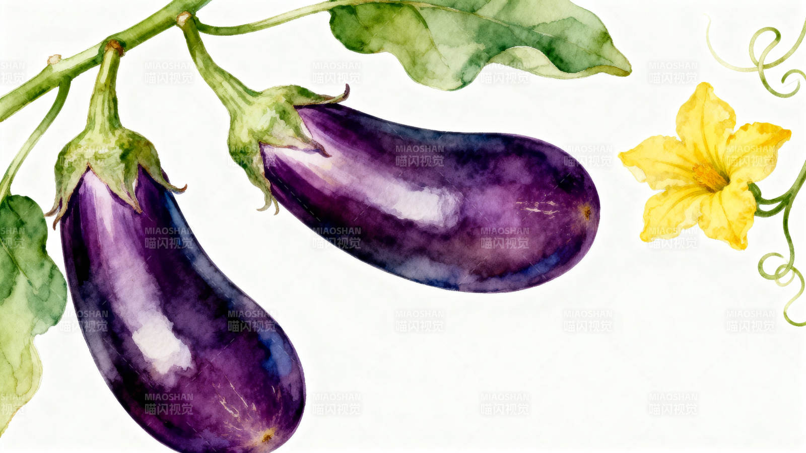 水彩茄子与黄花图片