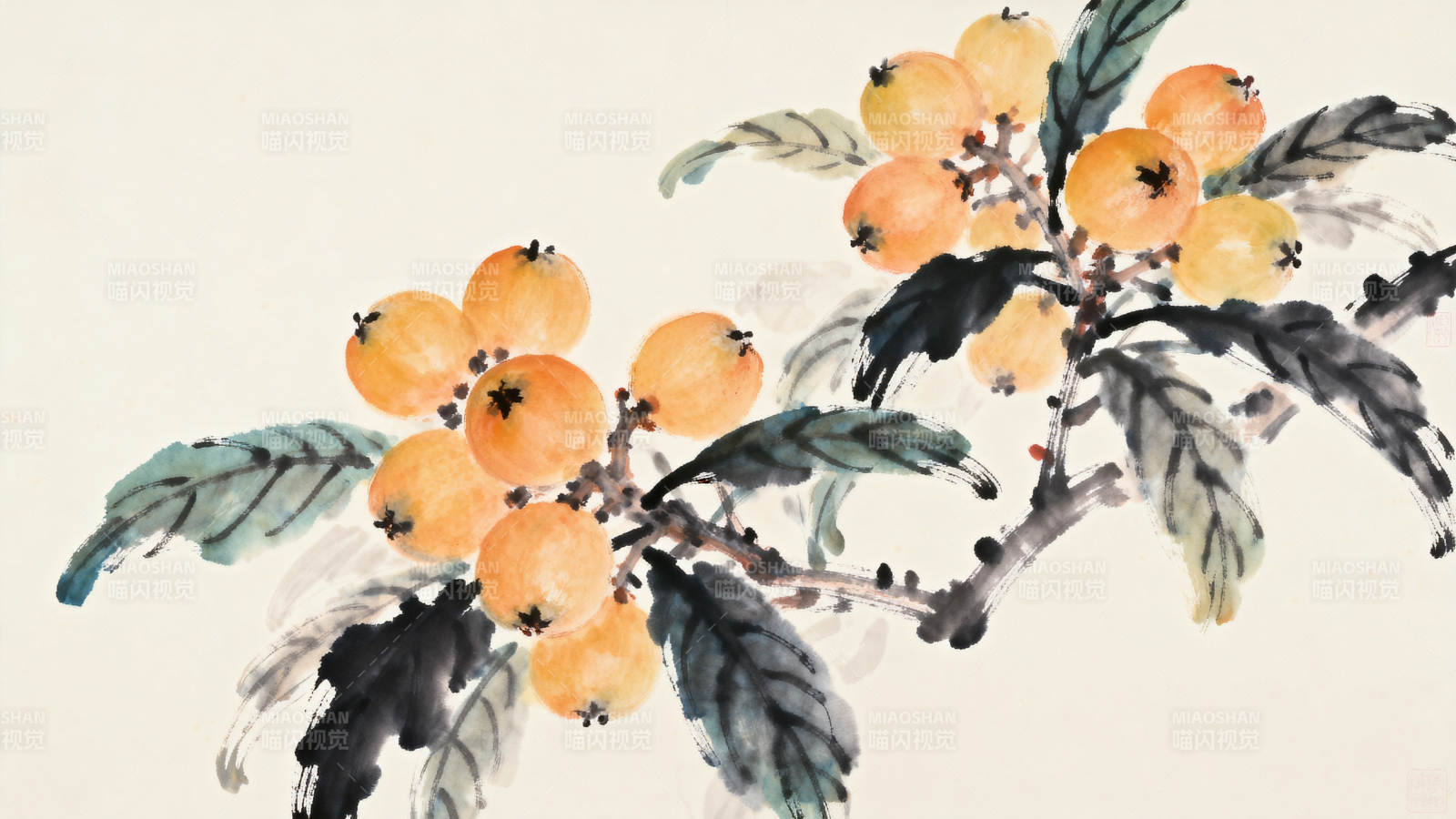 水墨枇杷果实枝叶图片