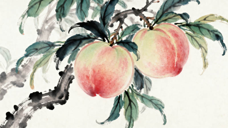 水墨画桃子枝头图片