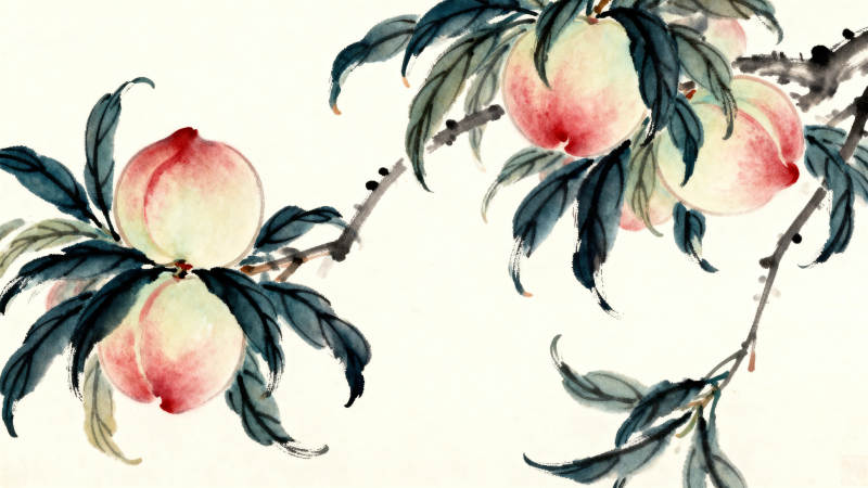 水墨画桃子枝头图片