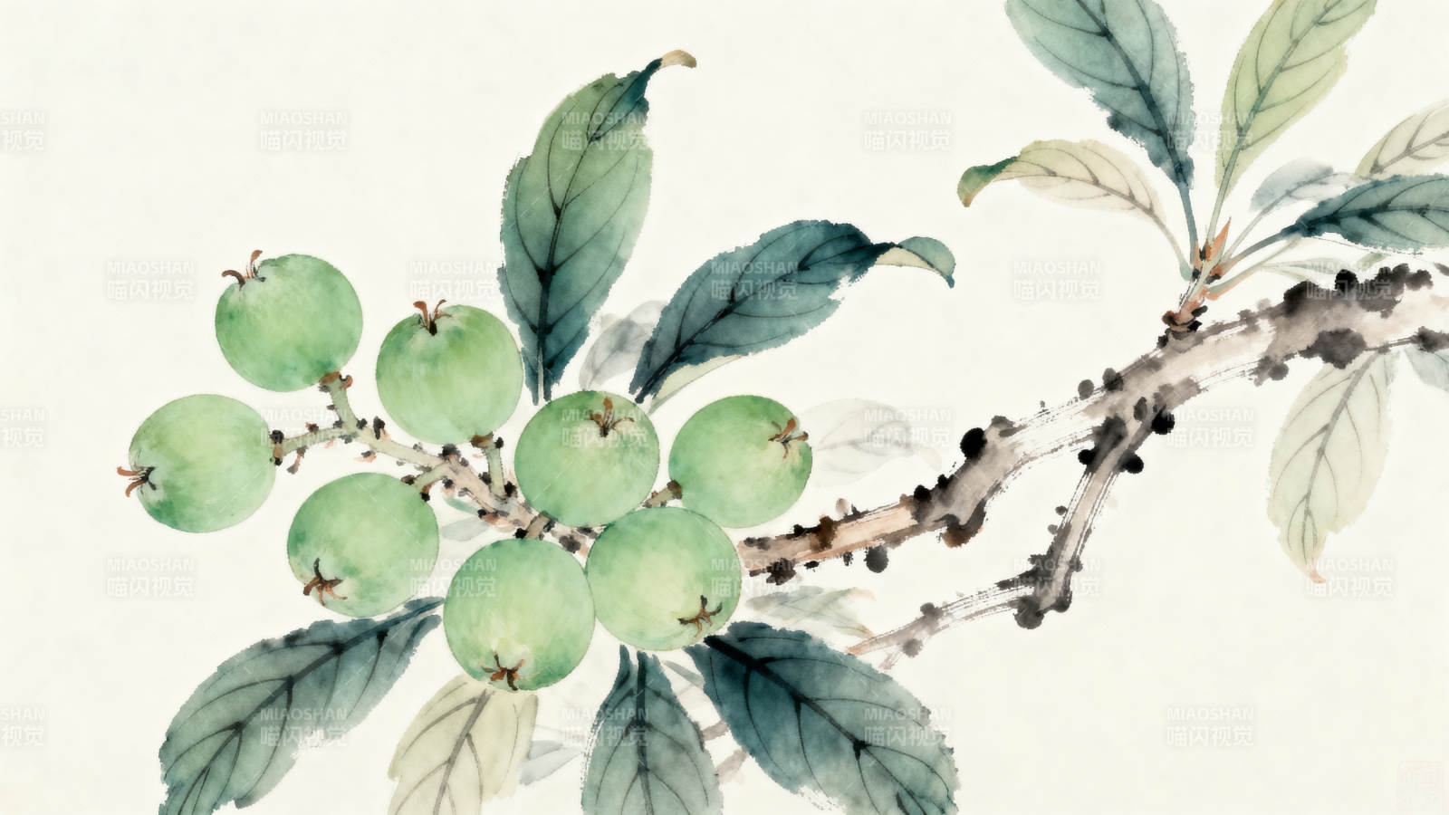 水墨画青果枝头图片